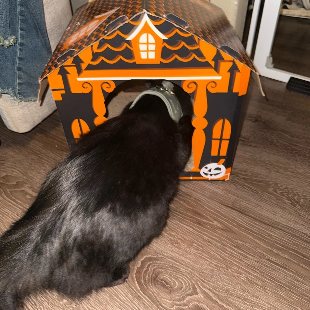 Orange spooky haunted house Cat Scratcher